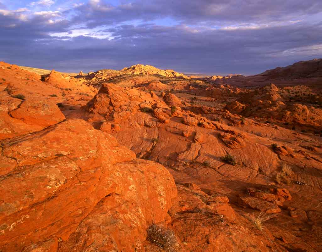 Paria Canyon, Vermilion Cliffs National Monument. Photo by Mark Miller.