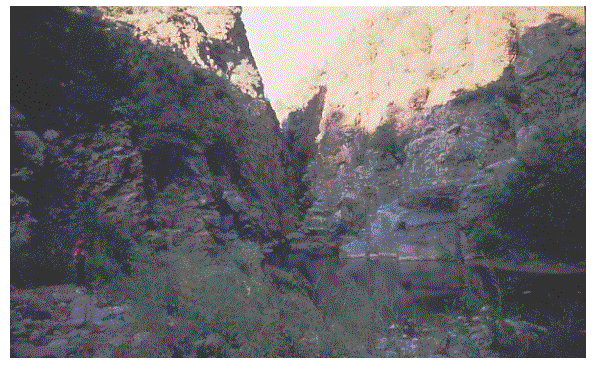 Hellsgate Wilderness.  