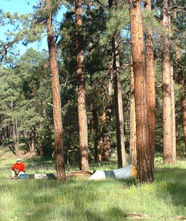 Camping on the Black River