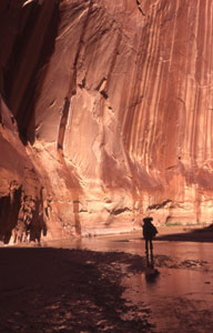 Hikers in Paria Canyon. Photo by Mark Miller.
