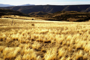 Jump Canyon photo