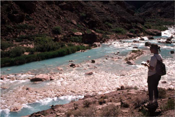 AZRA photo
