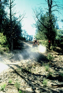 User-created road photo