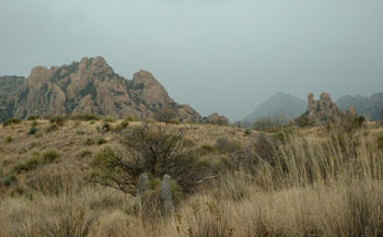 Dragoons photo