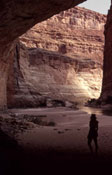 Redwall photo