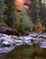 Oak Creek. Photo by Mark Miller.