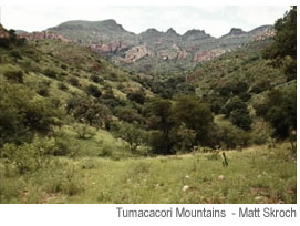 Tumacacori Mountains. Photo by Matt Skroch.