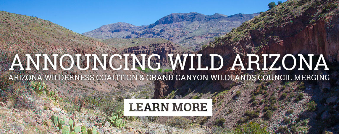 Arizona State vs Grand Canyon Live Streams Link 2