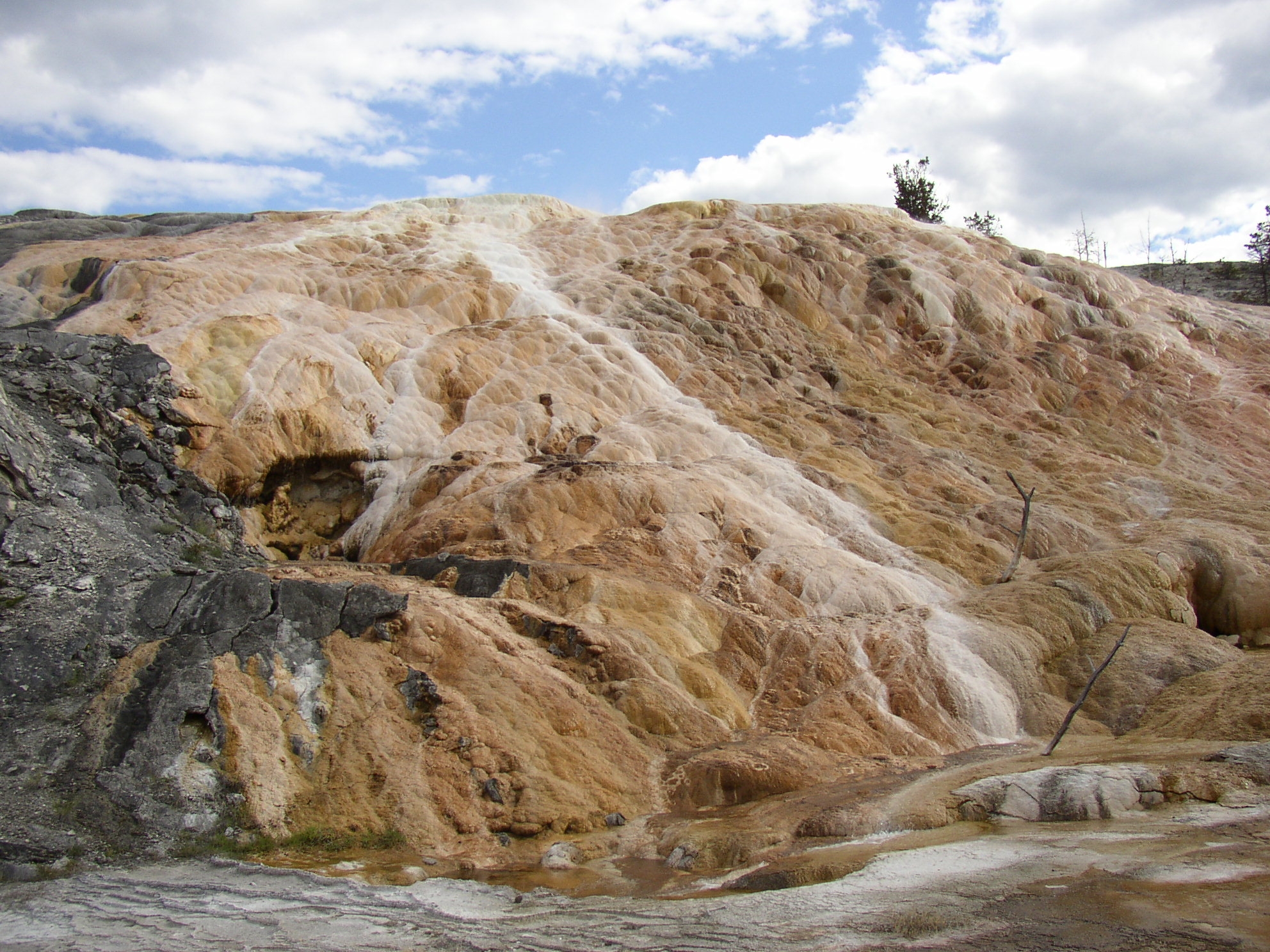 Mammoth Hot Spring at Yellowstone teems with microscopic life. 