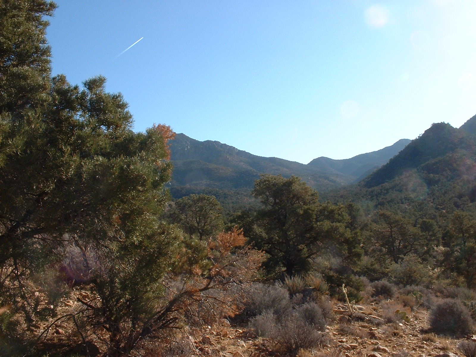 Private land within Mt. Tipton Wilderness. Photo by Jay Krienitz. 