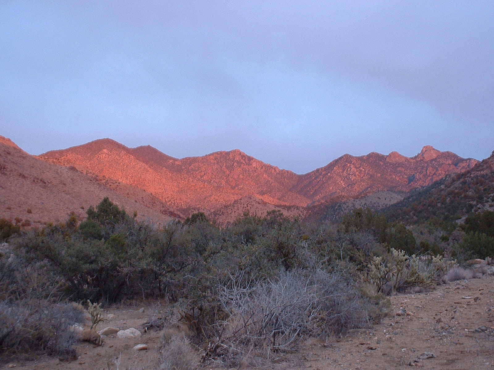 Mt. Tipton at sunset. Photo by Jay Krienitz. 