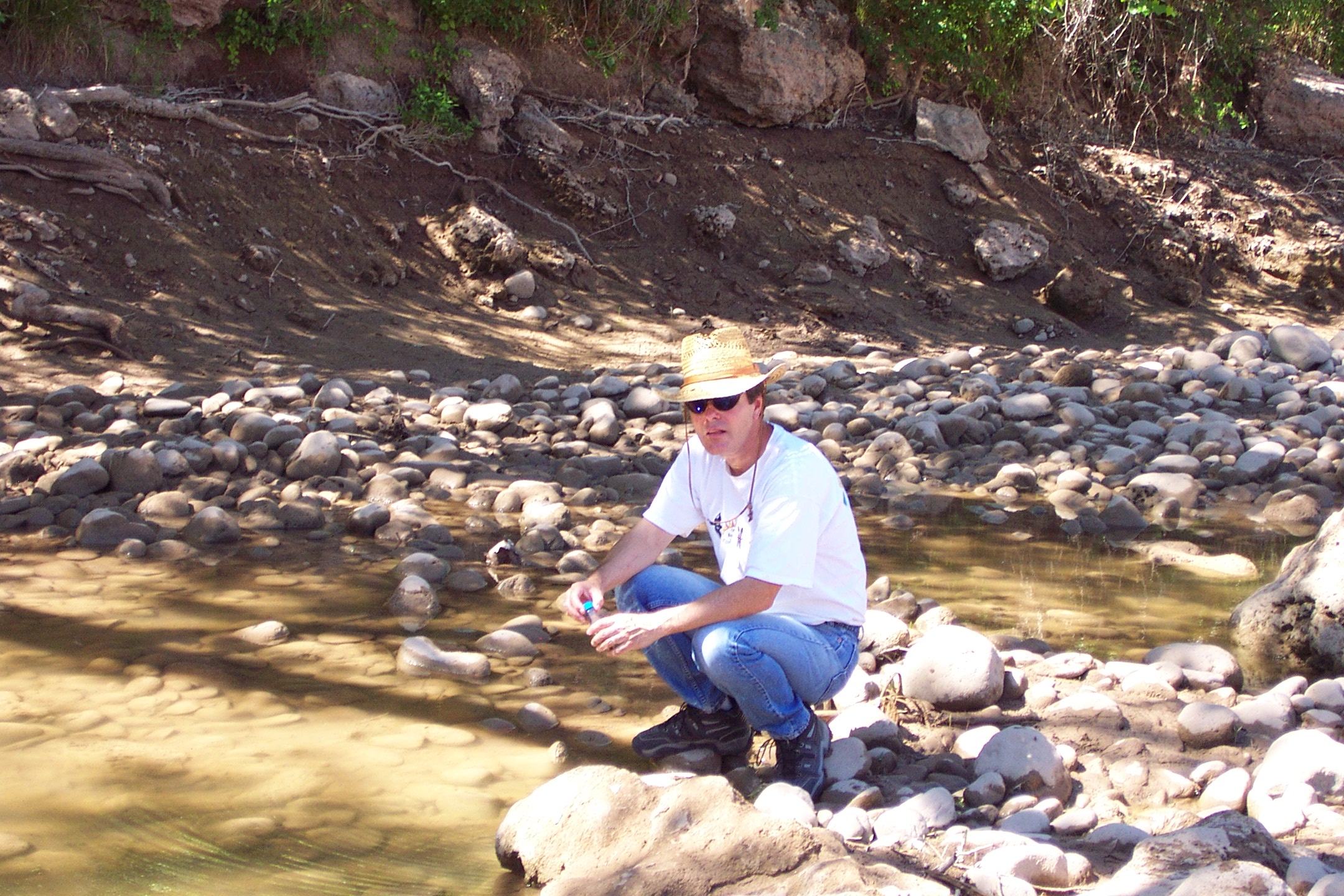 Collecting samples along the Verde River.