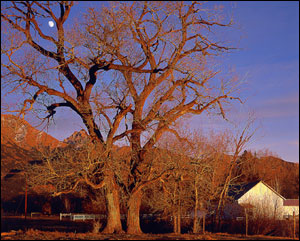 Baca Ranch. Photo by J.D. Marston. 