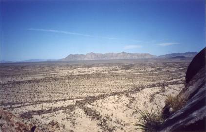 A sweeping view of the Cabeza Prieta NWF. Photo by Jay Krienitz.