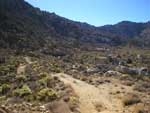 Mojave Desert 