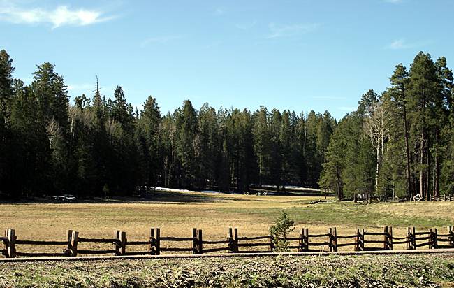 Hannagan's Meadow, Coronado Trail. 