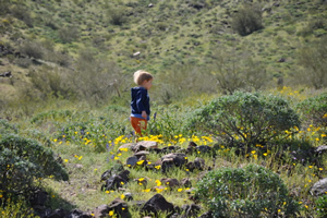 A young visitor to Saddle Mountain near Tonopah. Photo, Scott Hulbert